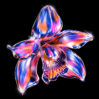 BLOOM Analog Labs + Pigments Sound Bank